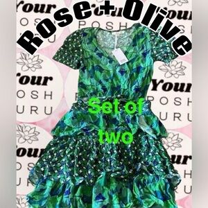 Rose & Olive Green and Blue Skirt Set